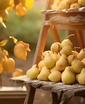 Imagem de frutas